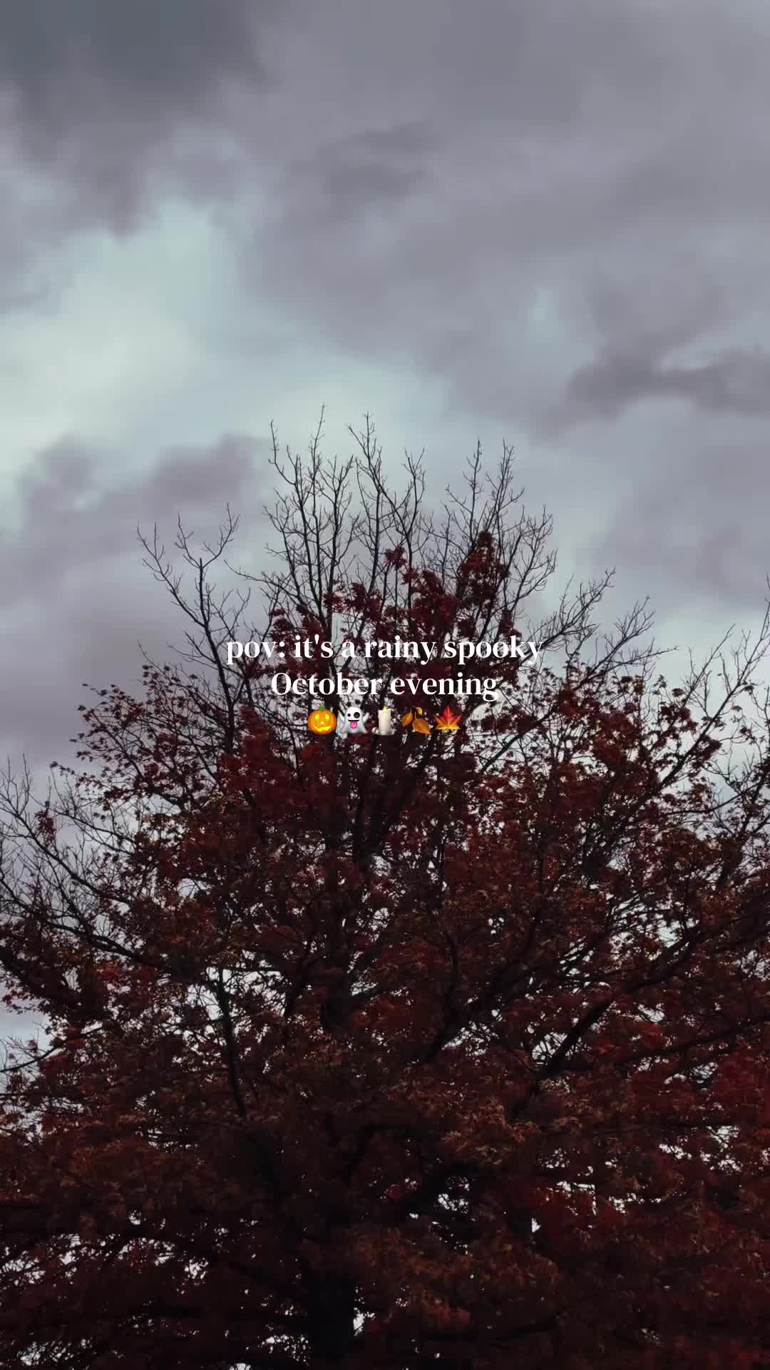 @fall.cozy_vibes