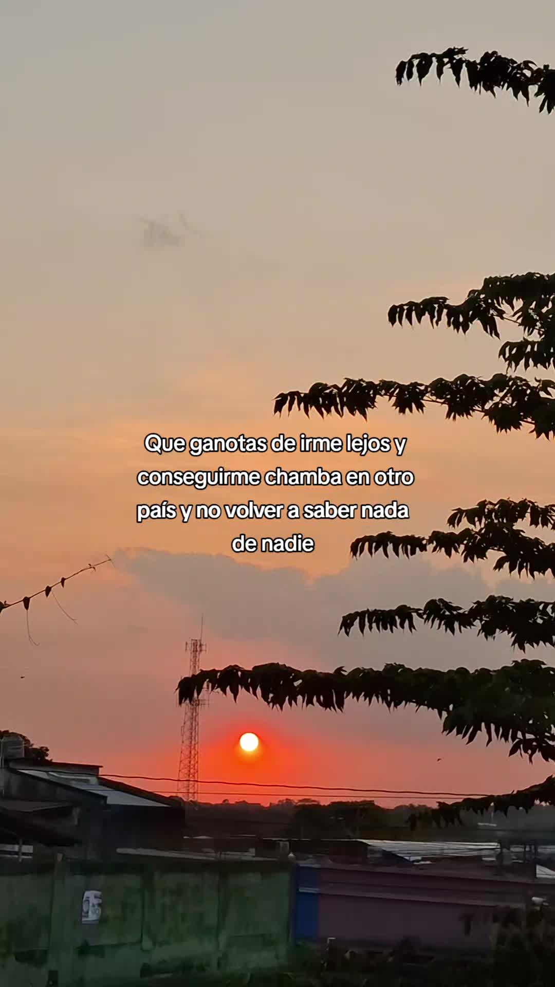 @🧸José Angel 🧸❤️🩹🥀