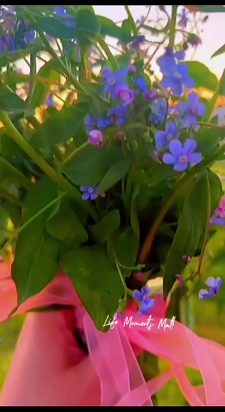 @🌸АнютаЯ🌸