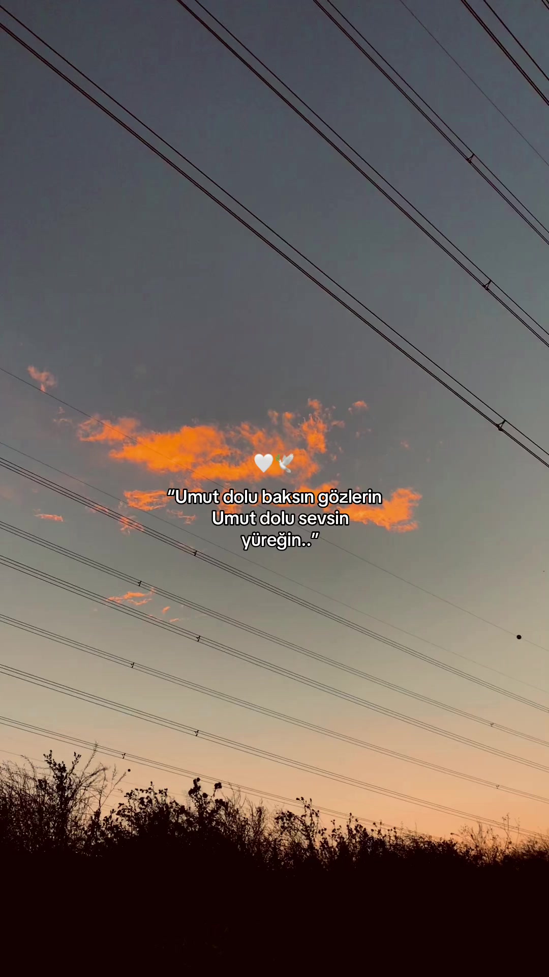 @𝑩&uuml;𝒏𝒚𝒂𝒎𝒊𝒏⚡️