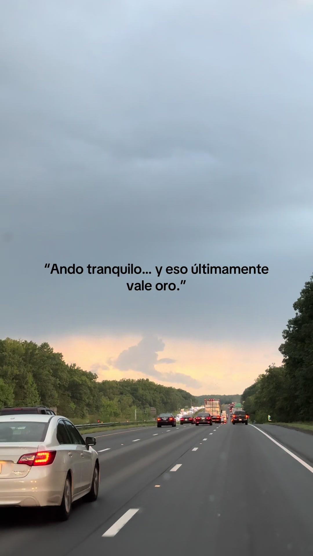 @Abel Velásquez 🦺👷♂️