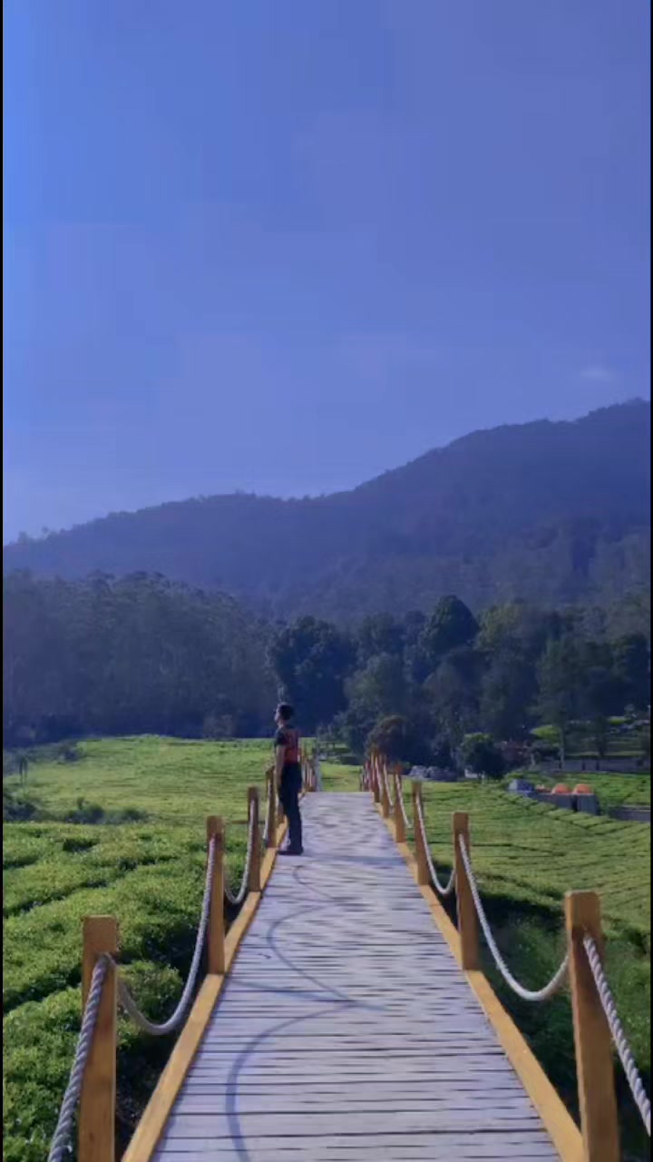 @rendyfirdauz_RZ