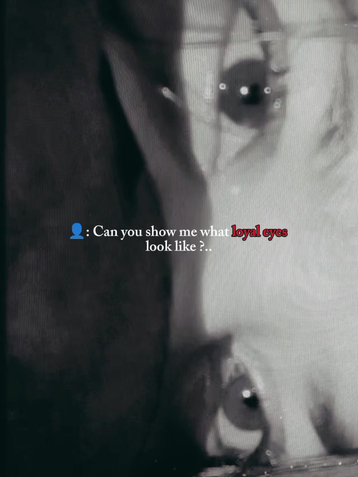 @⋆𐙚𝐂𝐢𝐧𝐝𝐞𝐫𝐞𝐥𝐥𝐚⏤͟͟͞͞💌