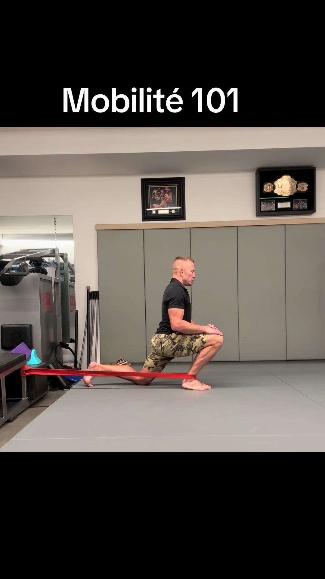 @Georges St-Pierre