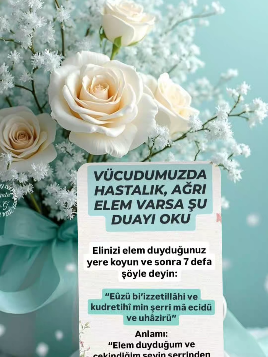 @hayat nereye gidiyor