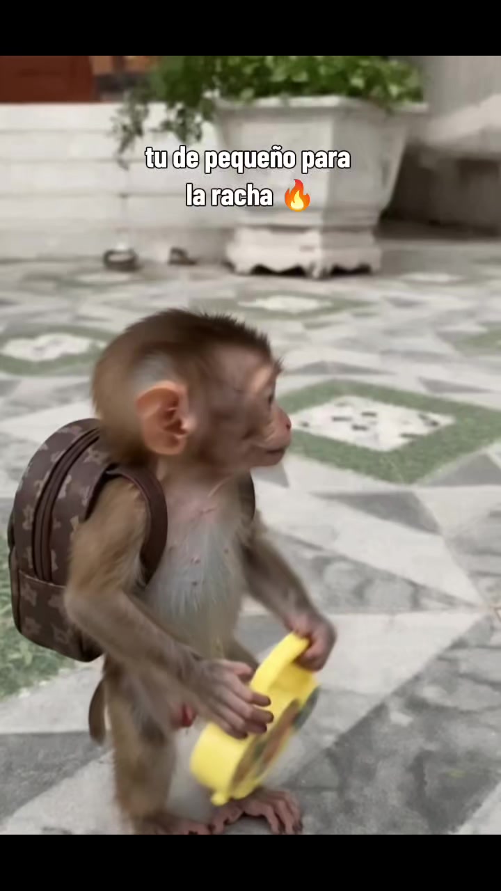@RabPesito 🔥