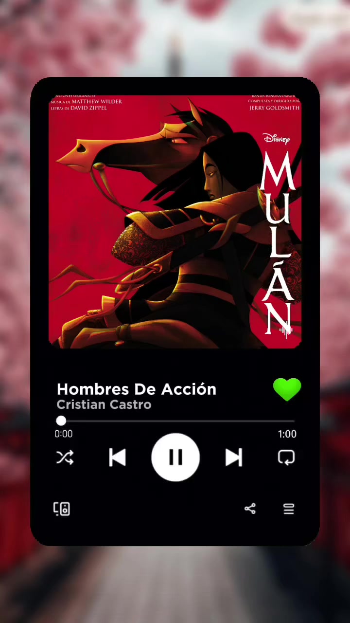 @La Coleccionista De Canciones