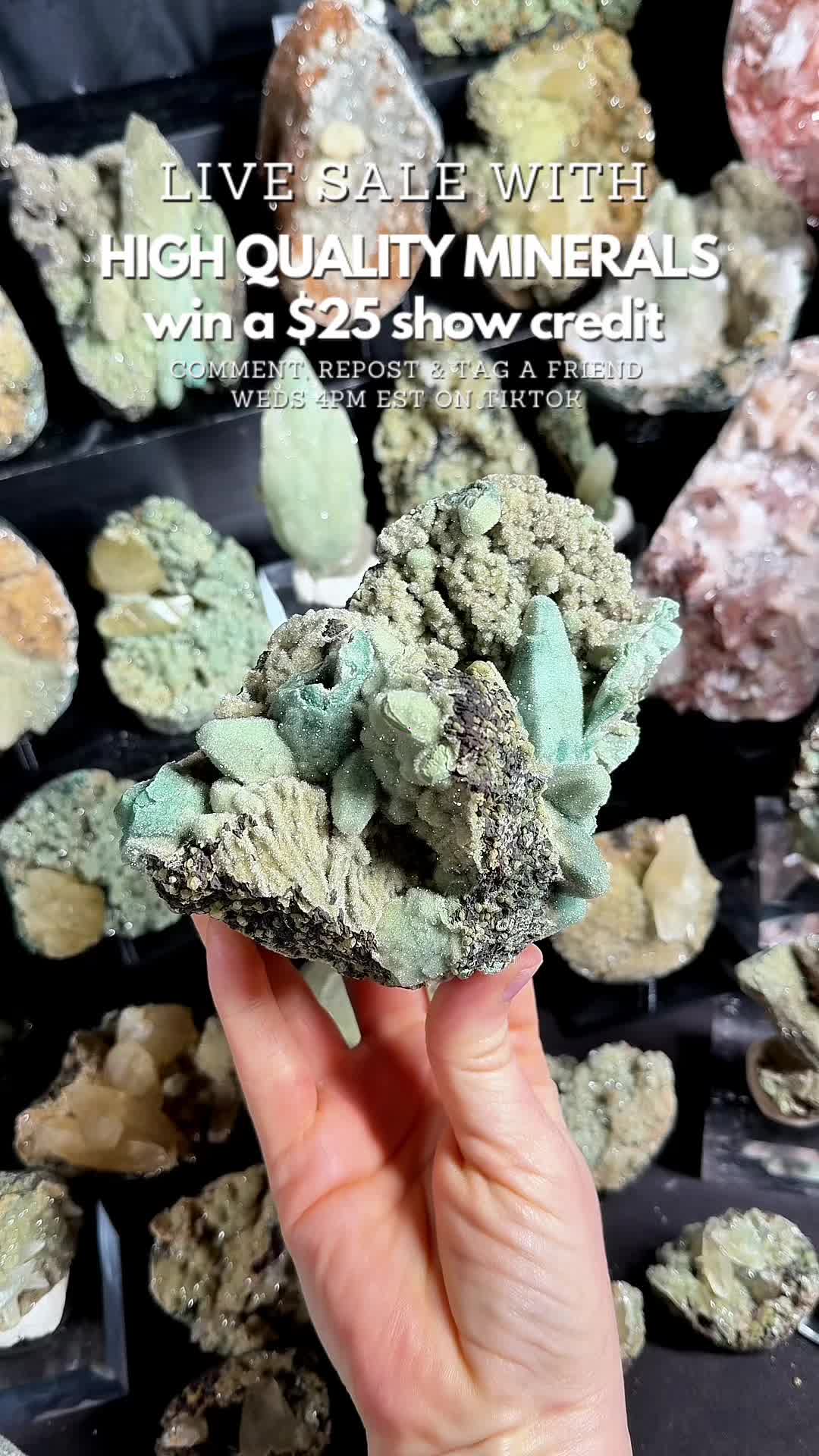 @Crystal Live Emporium✨Natalie