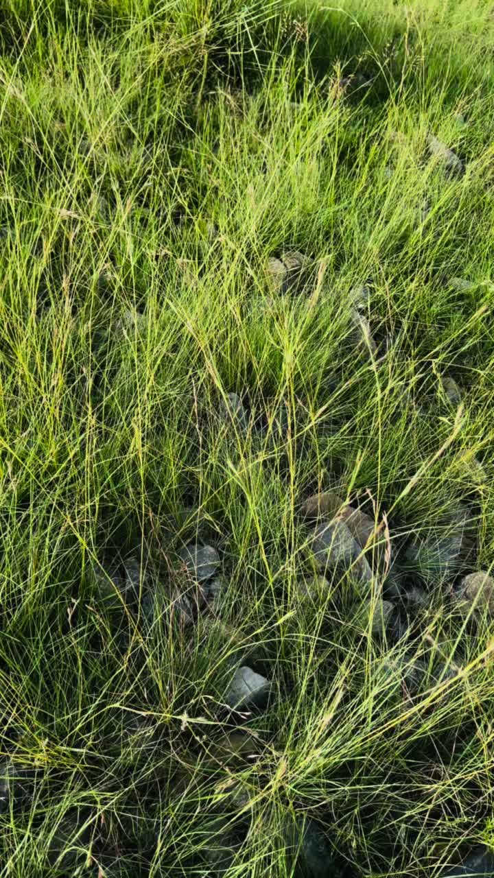 @𓆩𝐘 ᴛᴜʀɪ𓆪✪