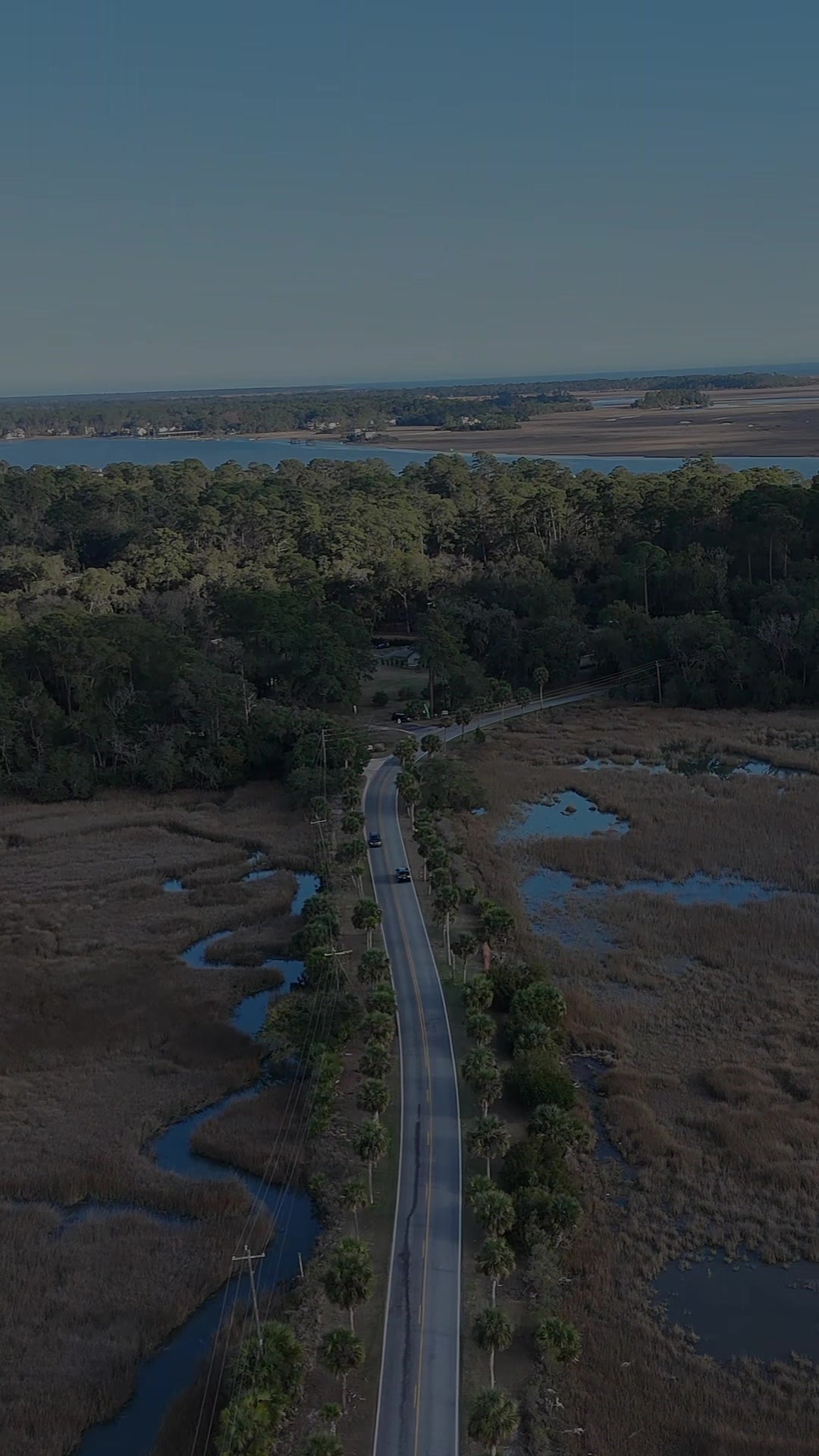 @Hampirk | Lowcountry