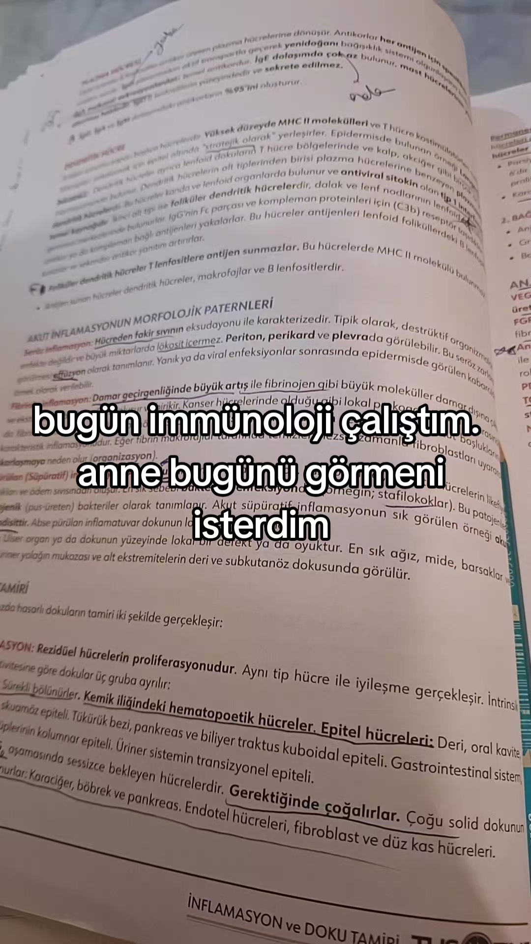 @ablanstarbabe🩺