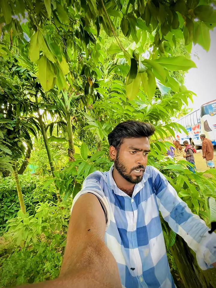 @banglavai4