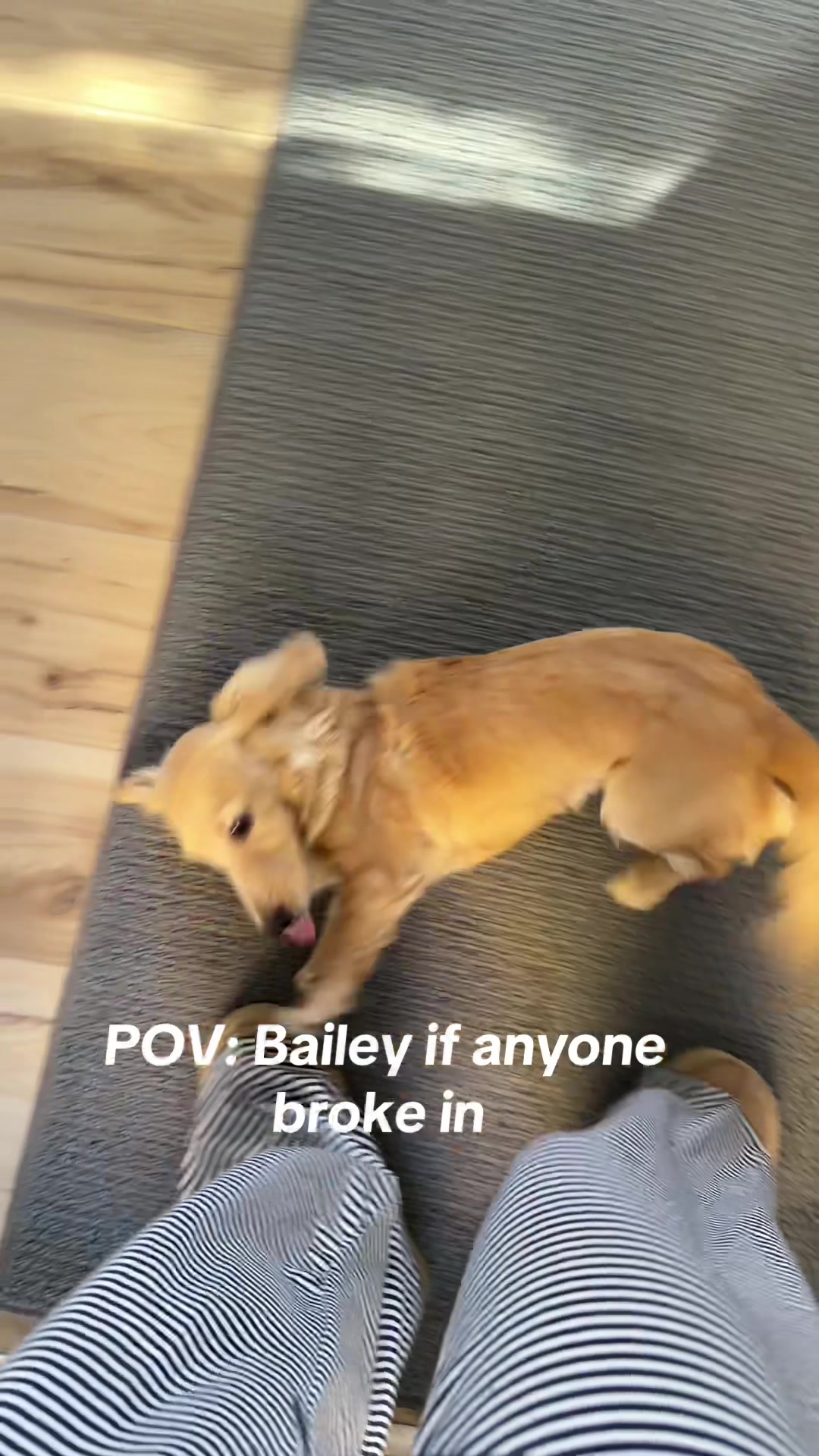 @GAB