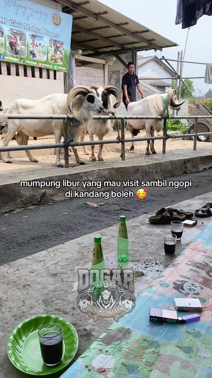 @PDP GIRI MULYA BOGOR