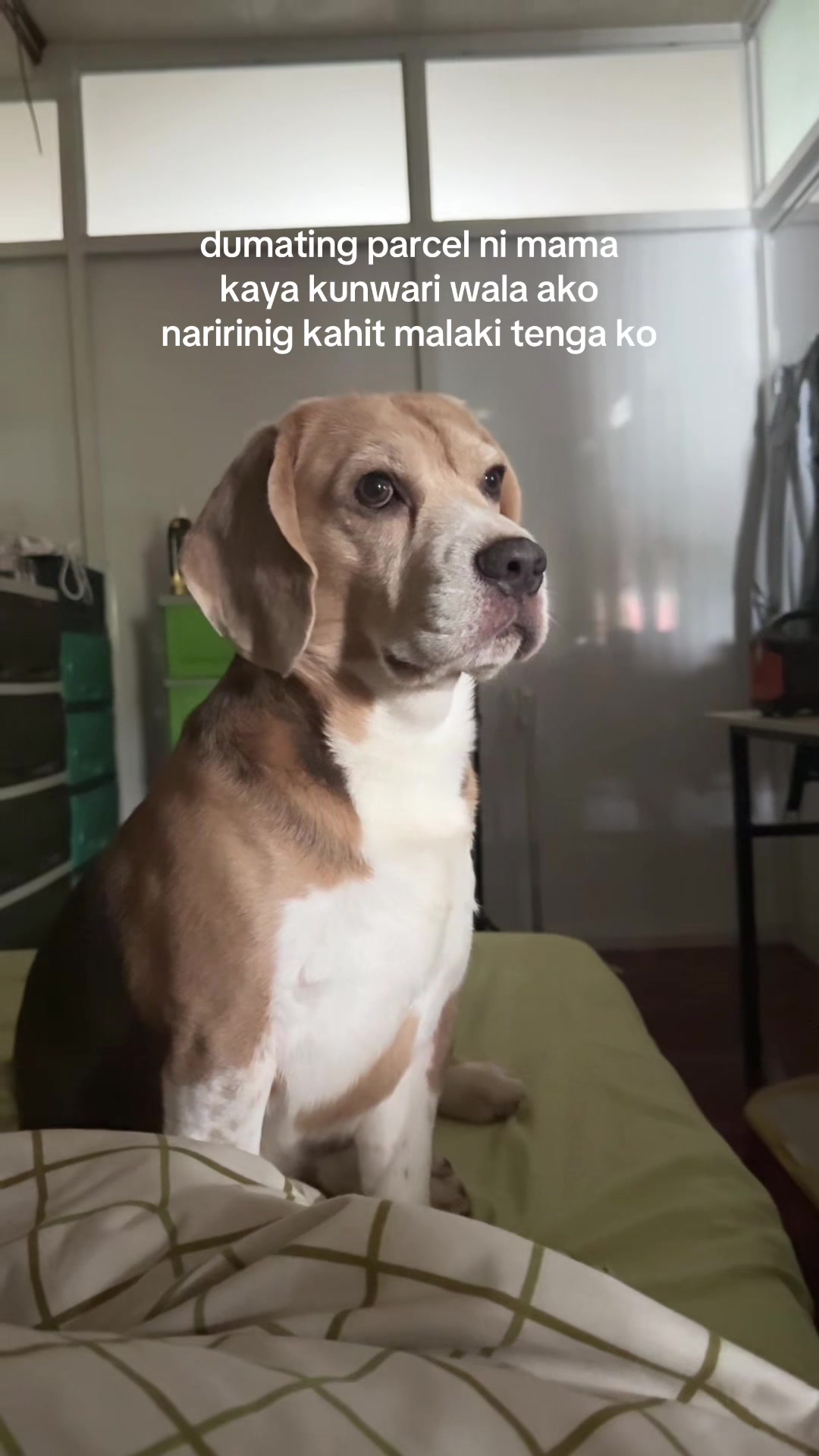 @TALA