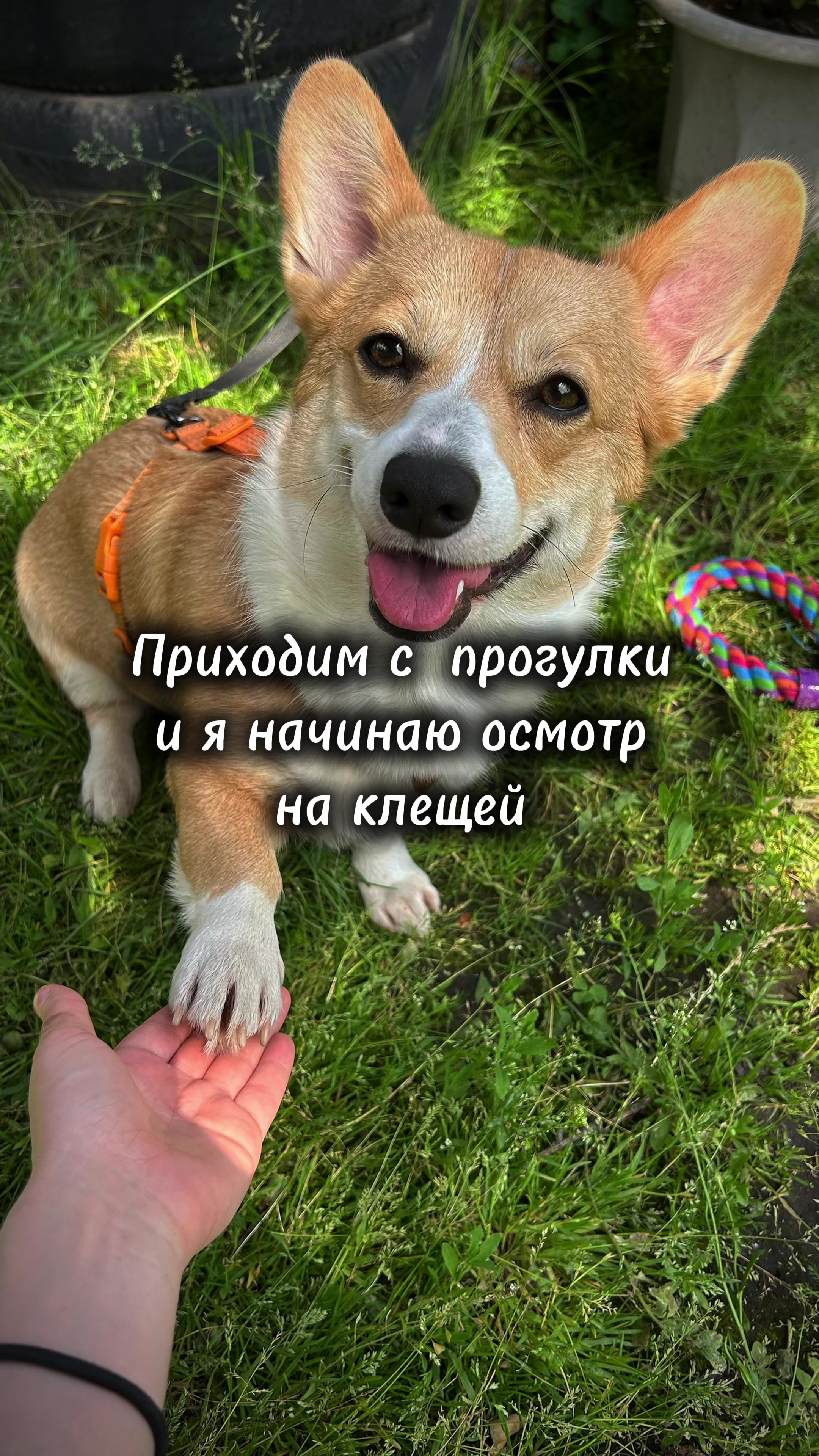 @Ирэн