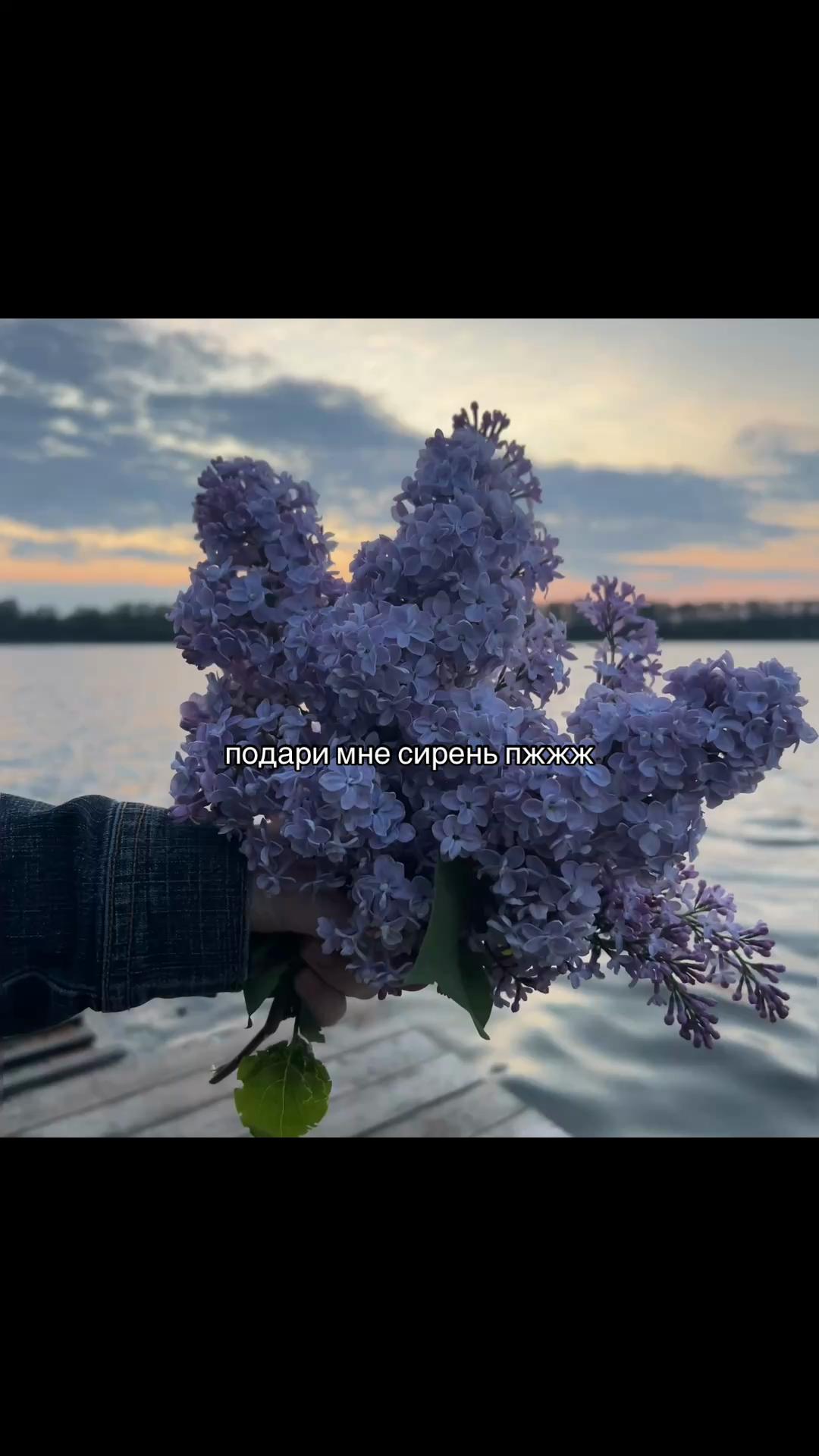 @аринушка
