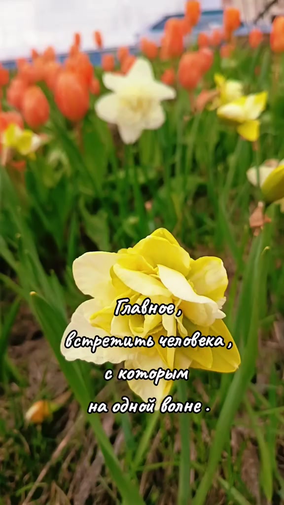 @Марина 🌺🍃