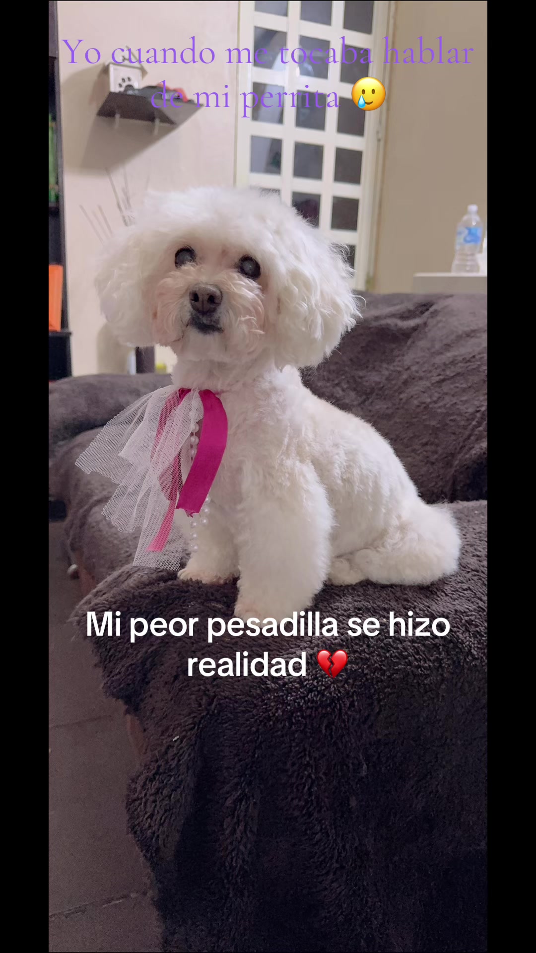 @Nayely AG