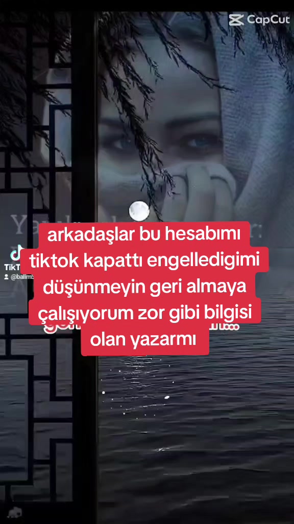 @İstanbul pati dunyasi