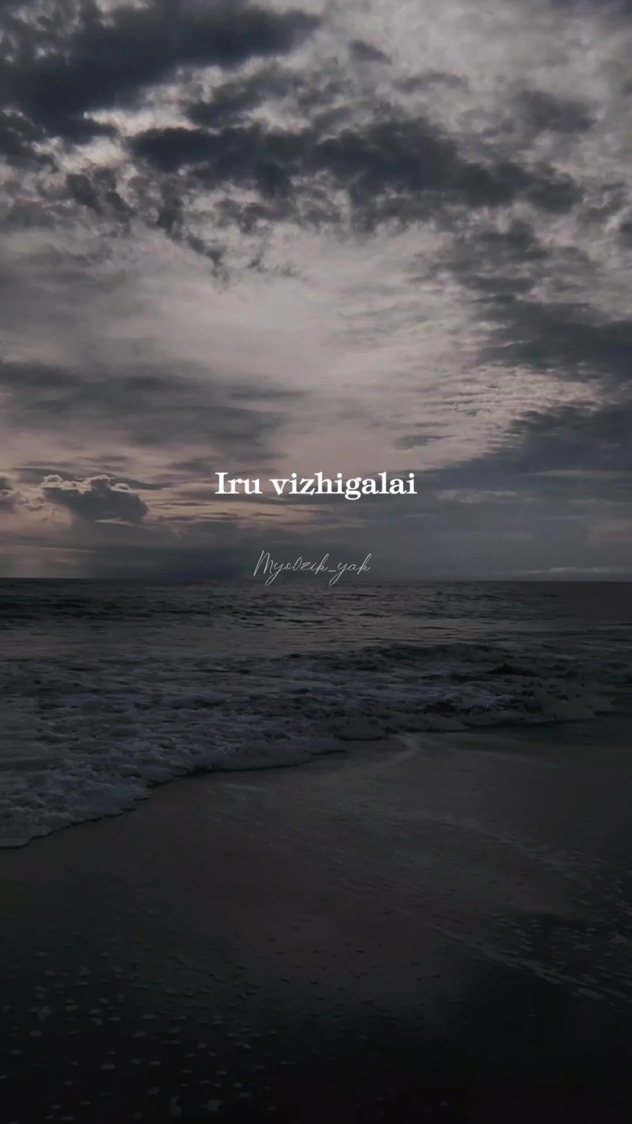 @ꪑꪗꪮ੦ɀỉƙ_ꪗꪖƙ ♪♫♬ 🧬
