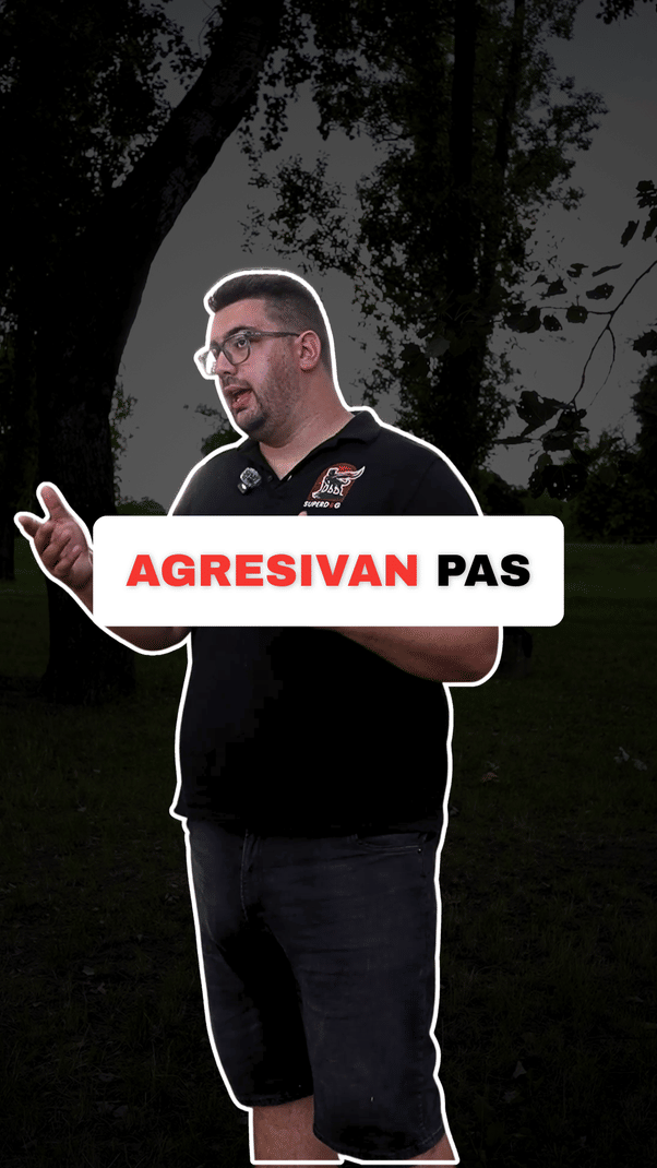 @superdog.akademija