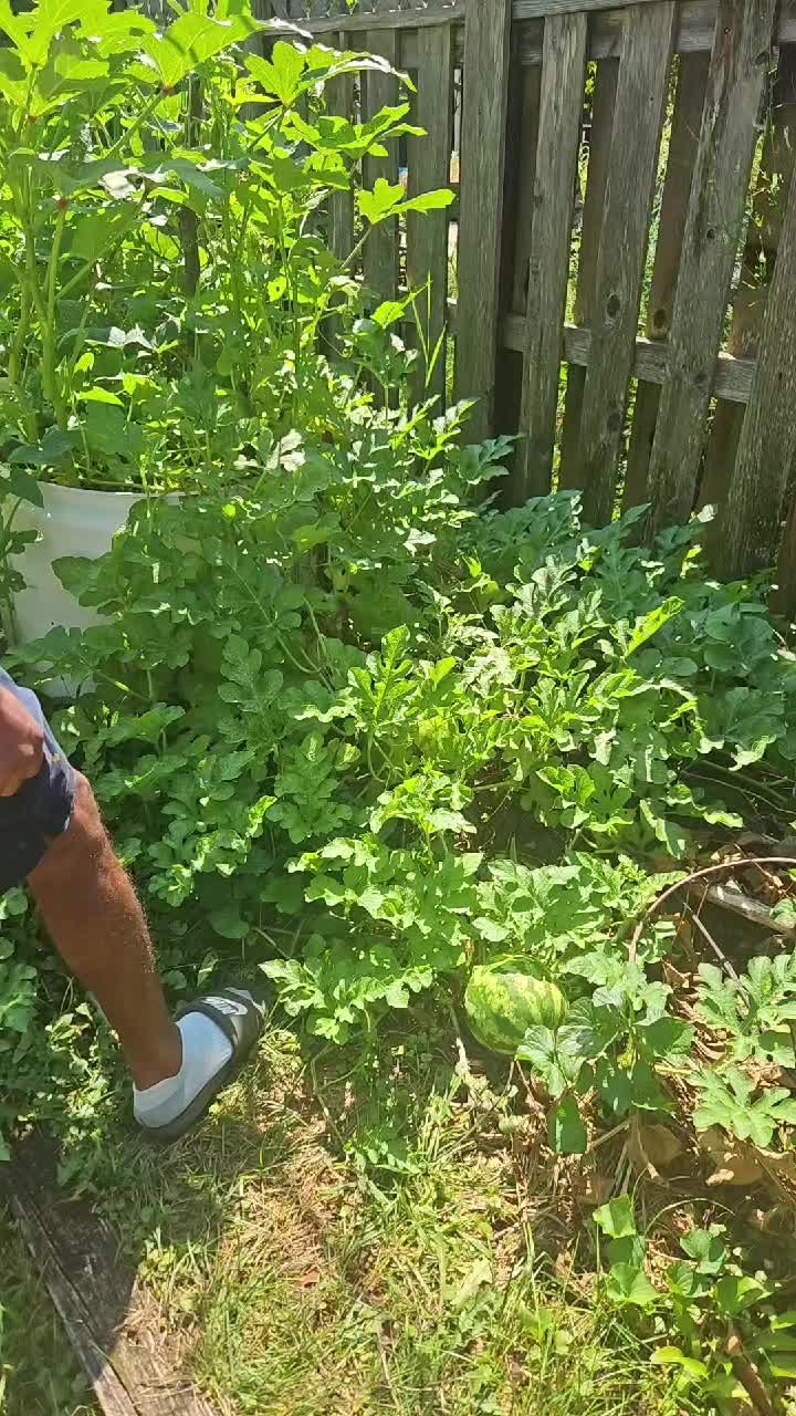 @ꪜꪖꪶꫀ𝘳𝓲ꫀ 🎀