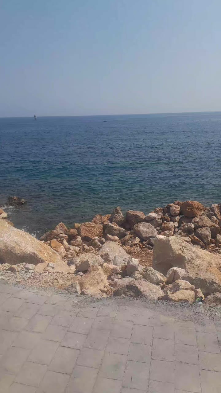 @warda chiraz