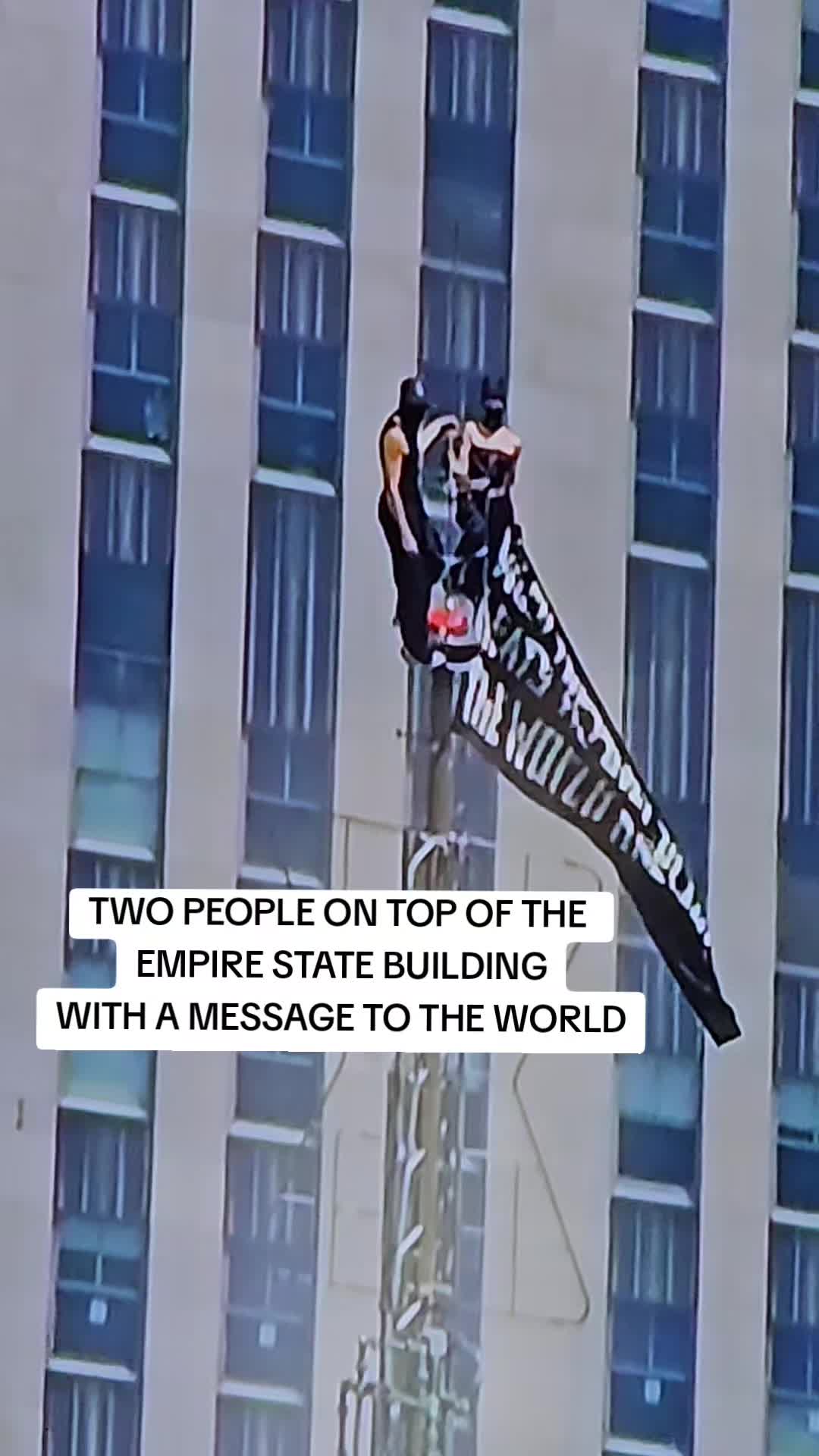 @Dave From The Bronx 🗽