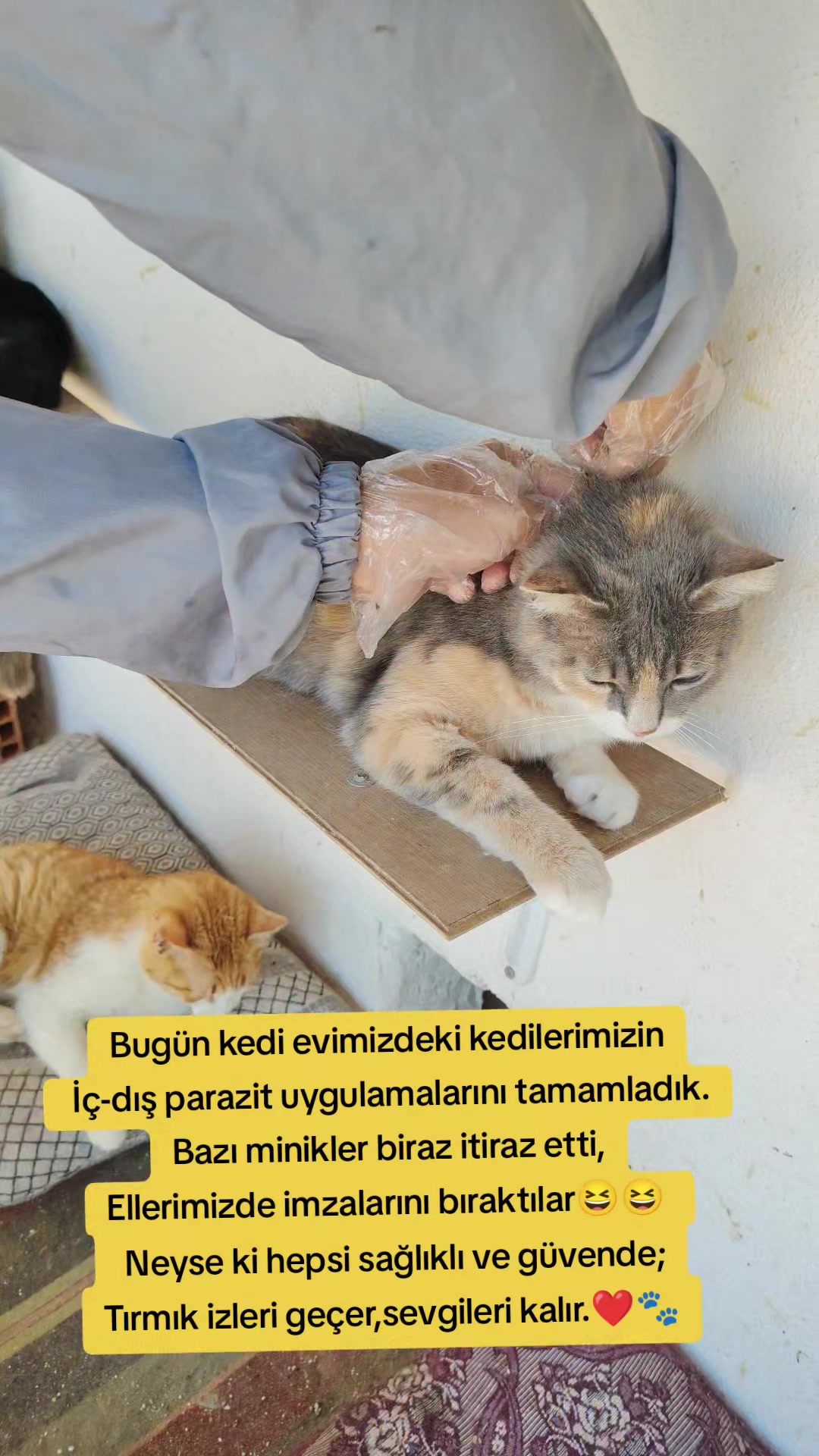 @Esma Er