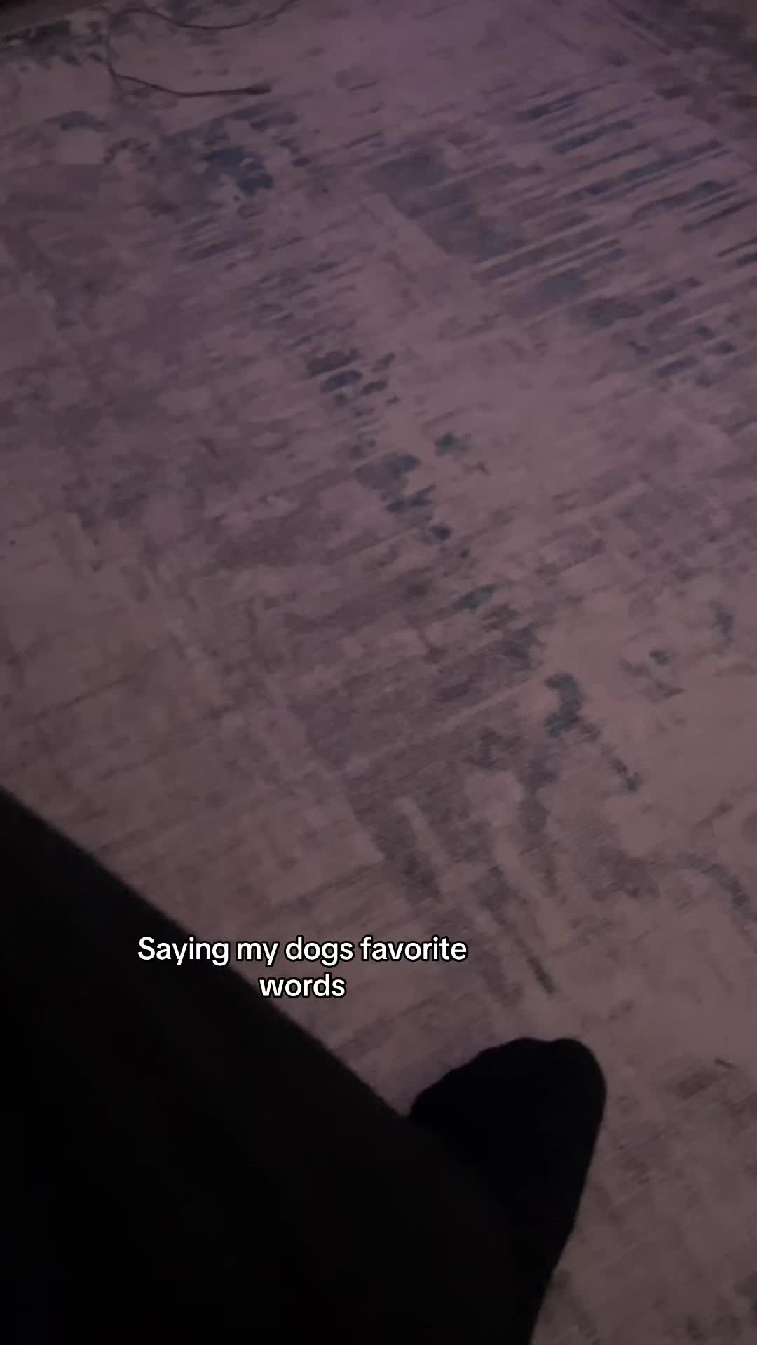 @Thewayout