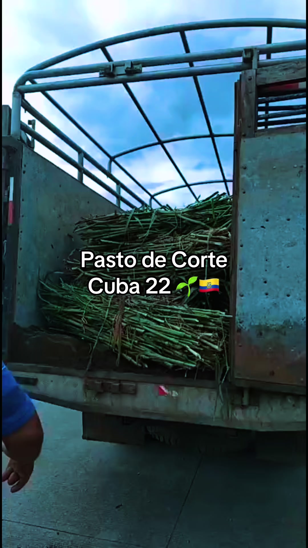@Pastos y Leguminosas - Ecuador