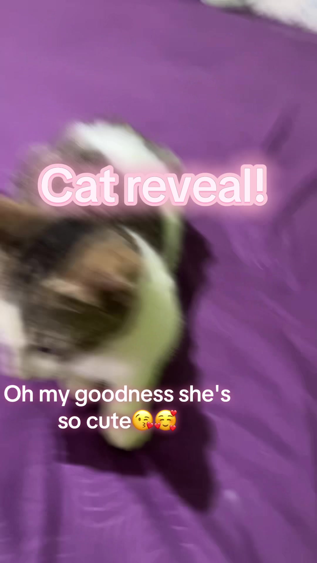 @𝓜𝓲𝓼𝓱𝓮𝓵𝓵✵❃༄ೄྀ♡
