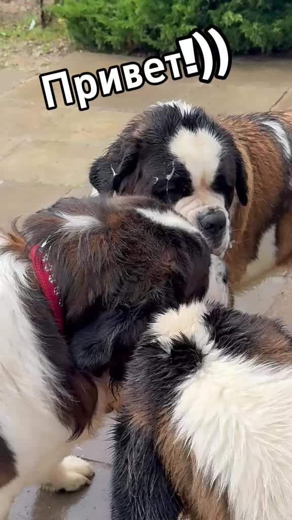 @Людмила