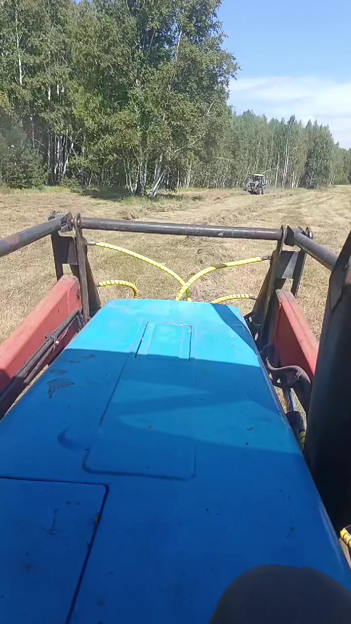 @55 Николайхрамов✌️✌️