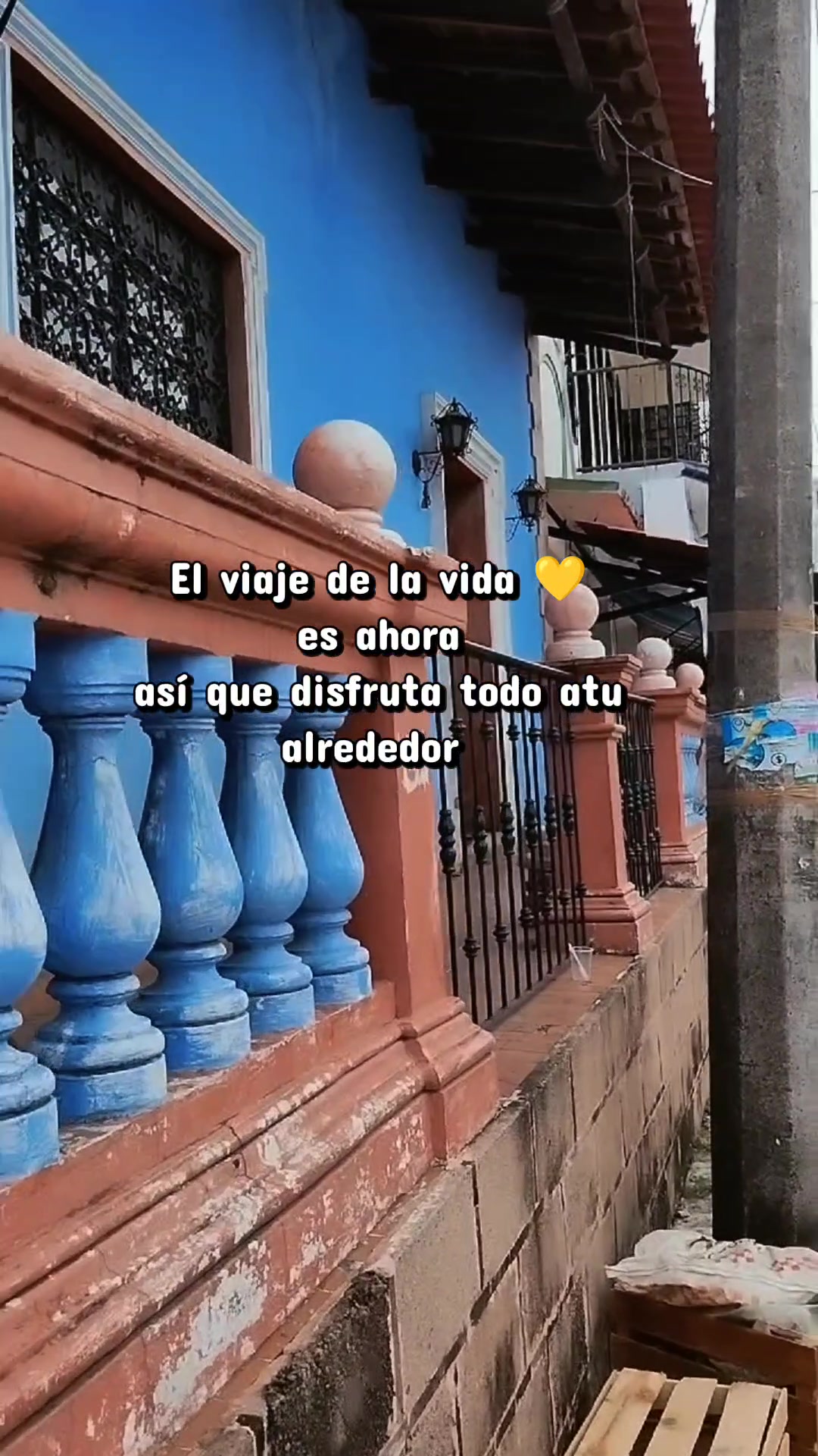 @Ely Palmer