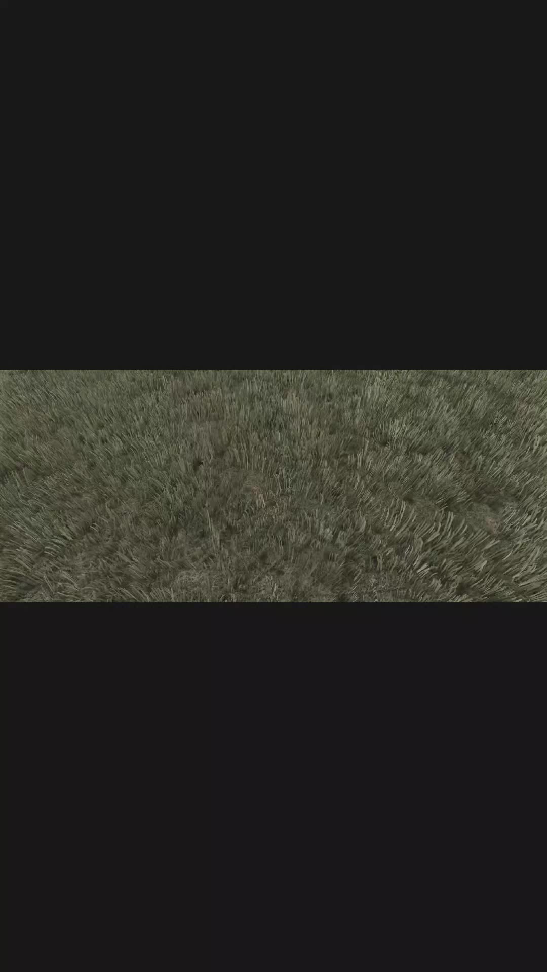@𝕻𝖎𝖈𝖘 𝖇𝖞 𝕸𝖎𝖐𝖆🇩🇪⚜️🚜