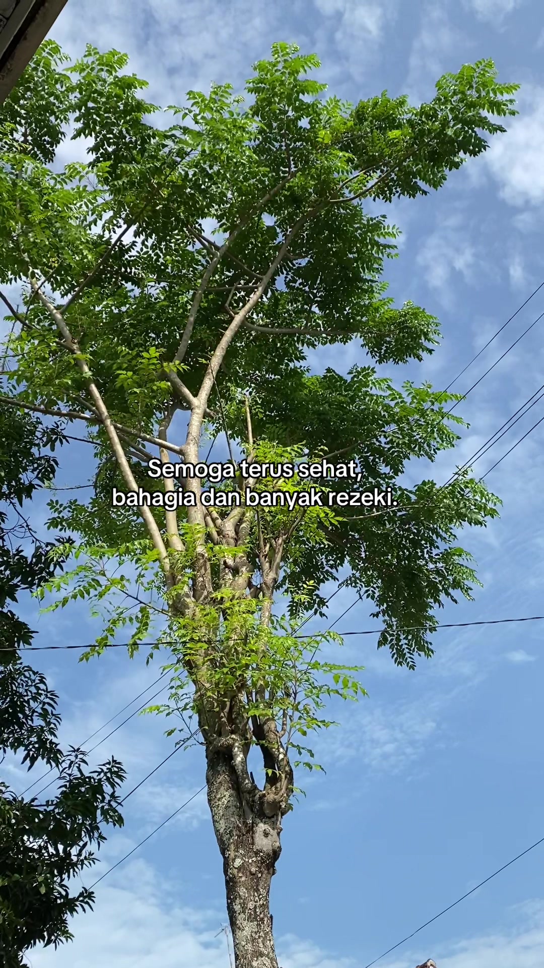 @Mamah Bian
