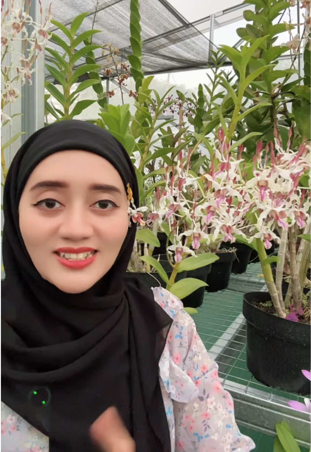 @Anggina Orchid