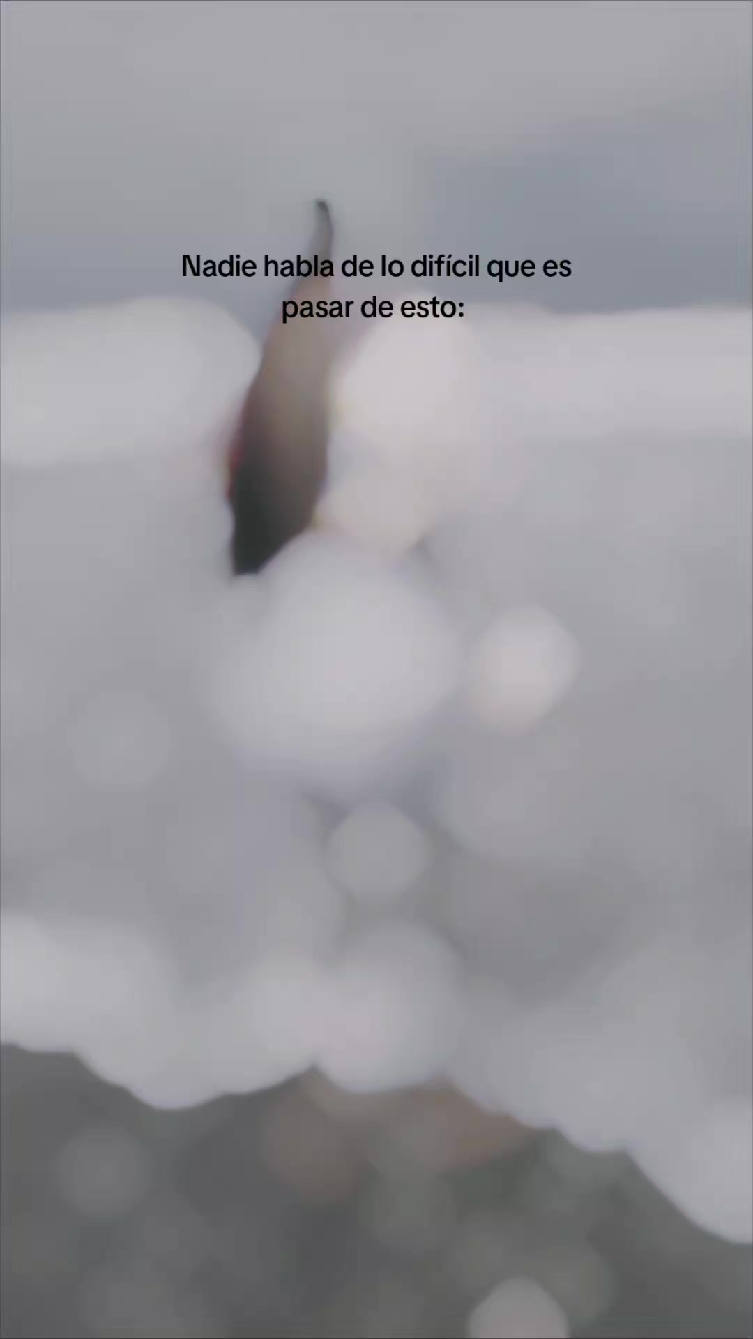 @Massiel .🌵.