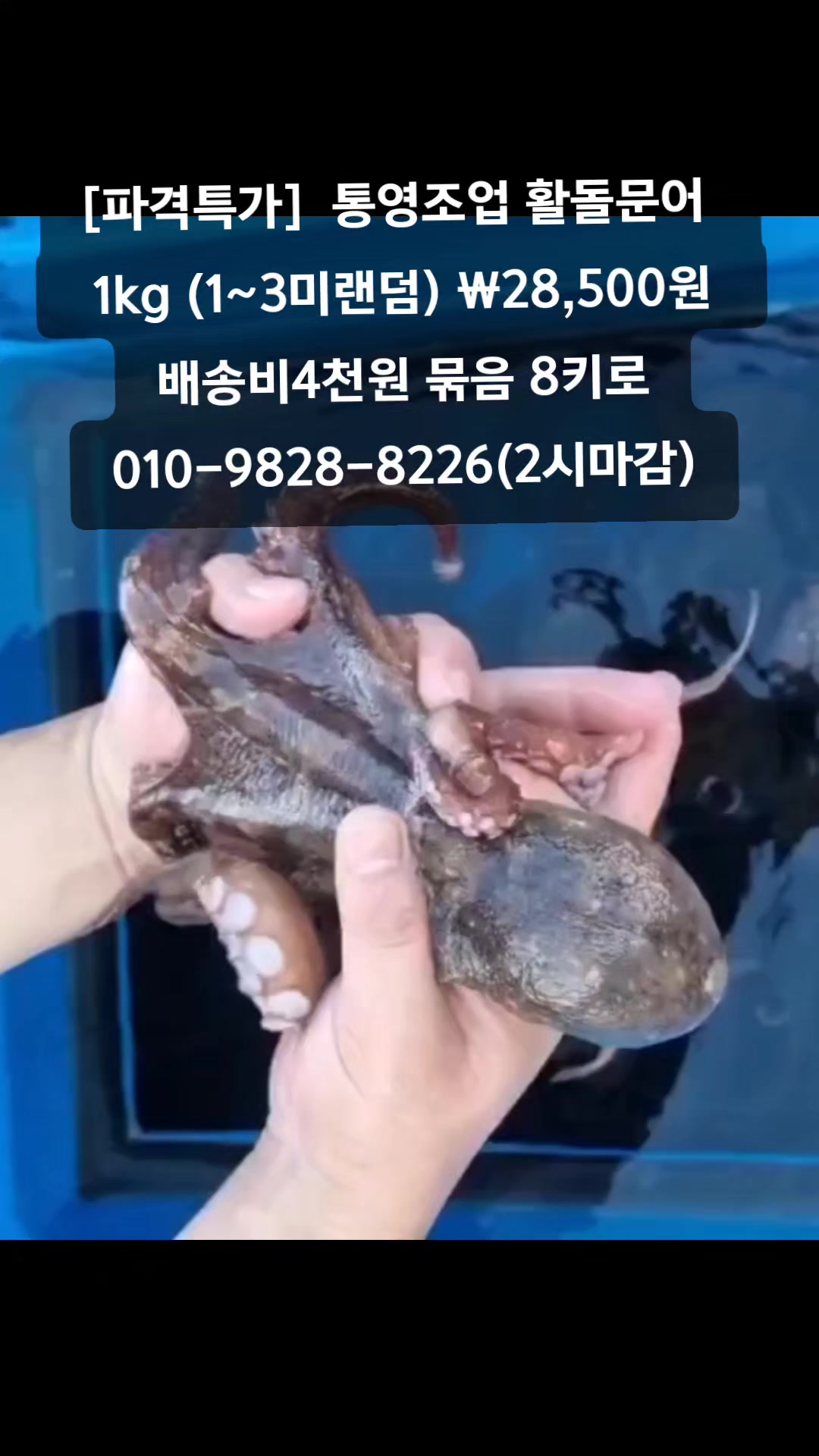 @똑손