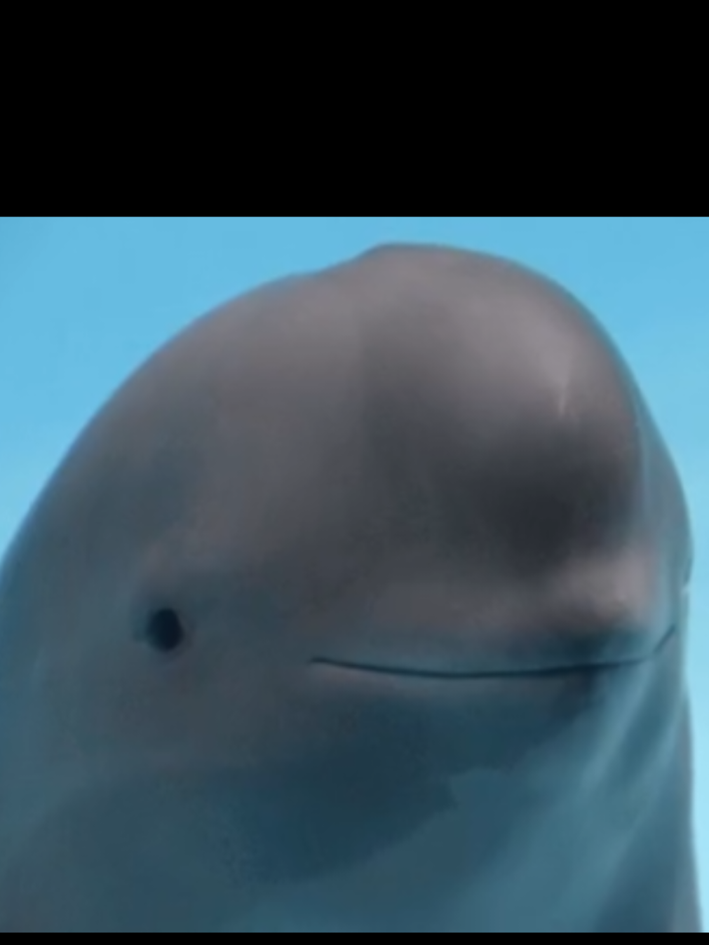 @sacred_lyon