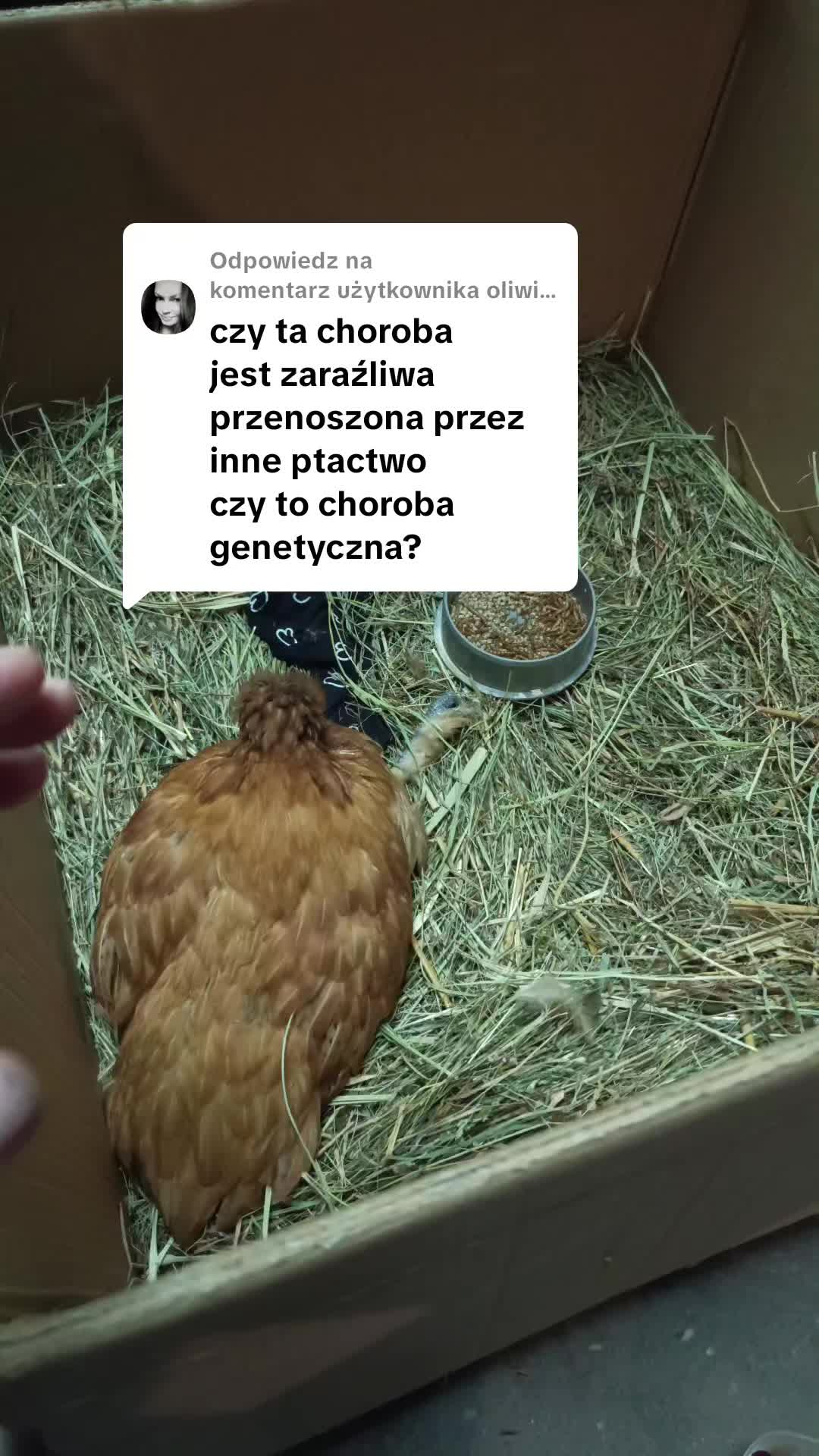 @Marcin ogrodnik