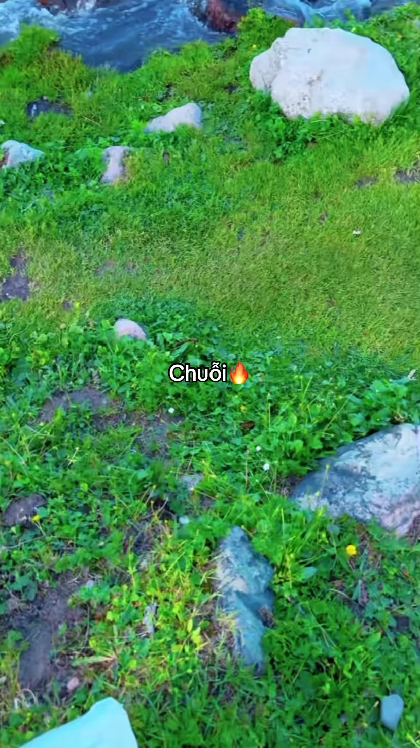 @Đ&egrave;n Đường Số 12