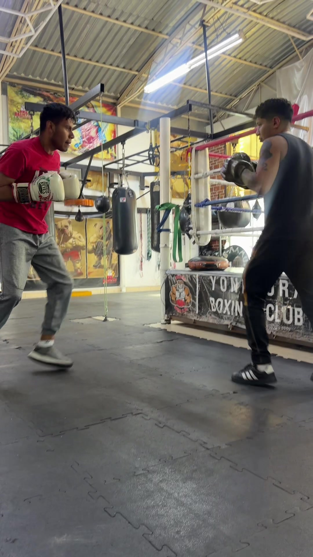 @Yonekura Boxing Club
