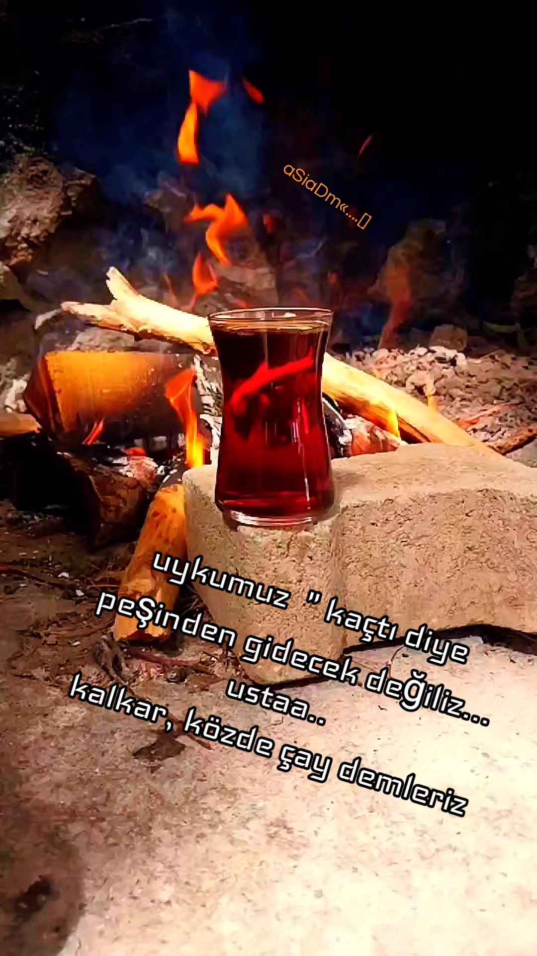 @Yusuf Gün493