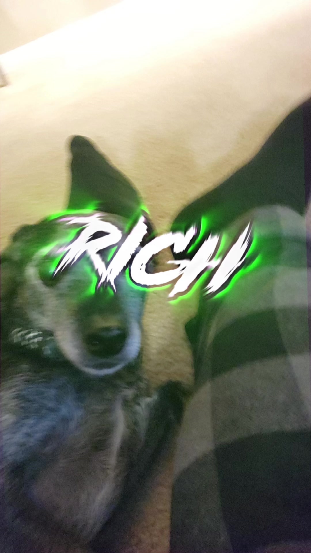 @Pregenantfurry