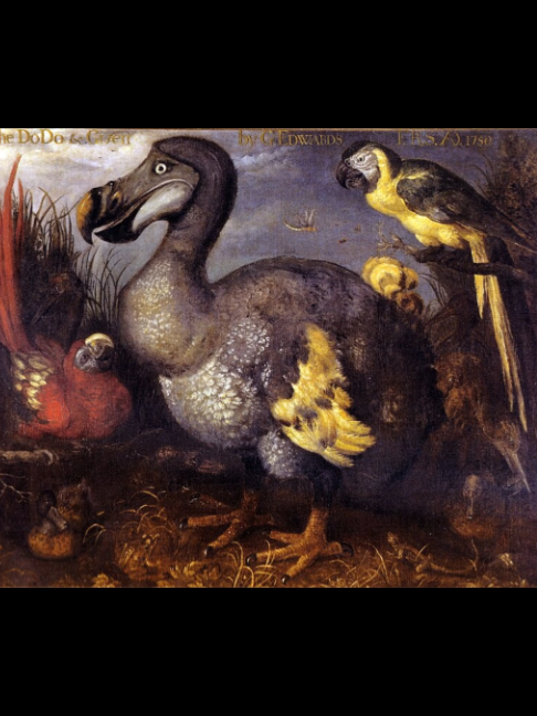 @Extinction Cometh