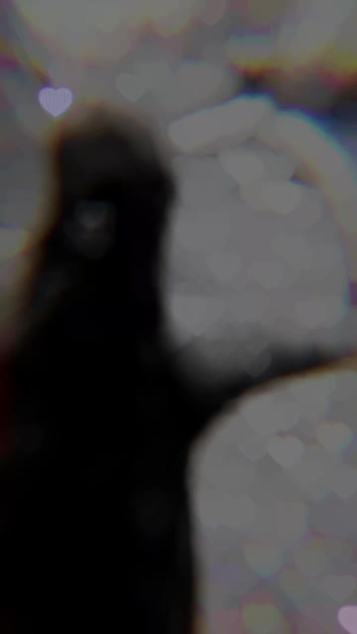 @💫❣️𝐬𝐚𝐬𝐢 ❣️💫𝐛𝐚𝐛𝐮❣️💫