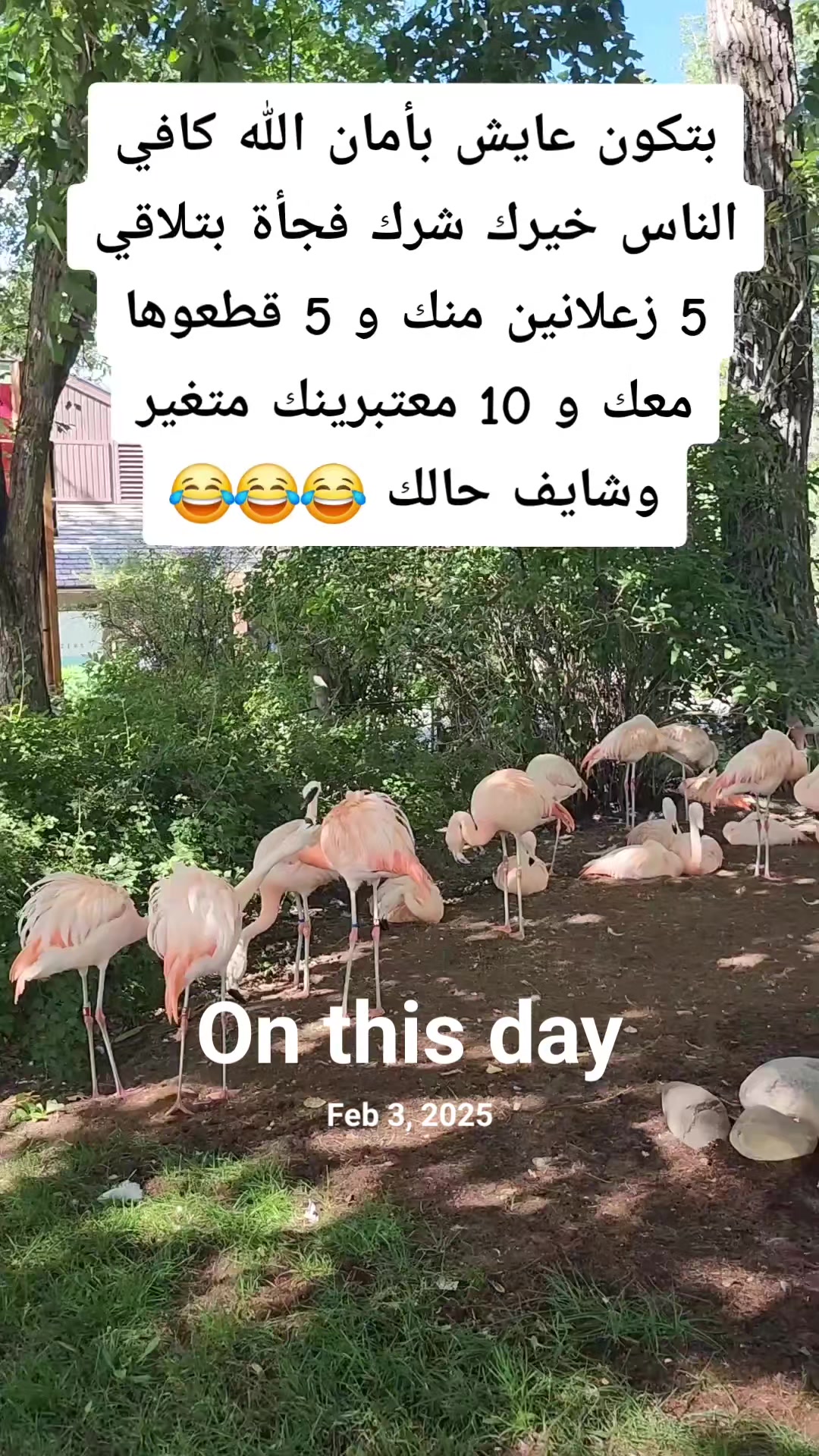 @RoRo ✨️